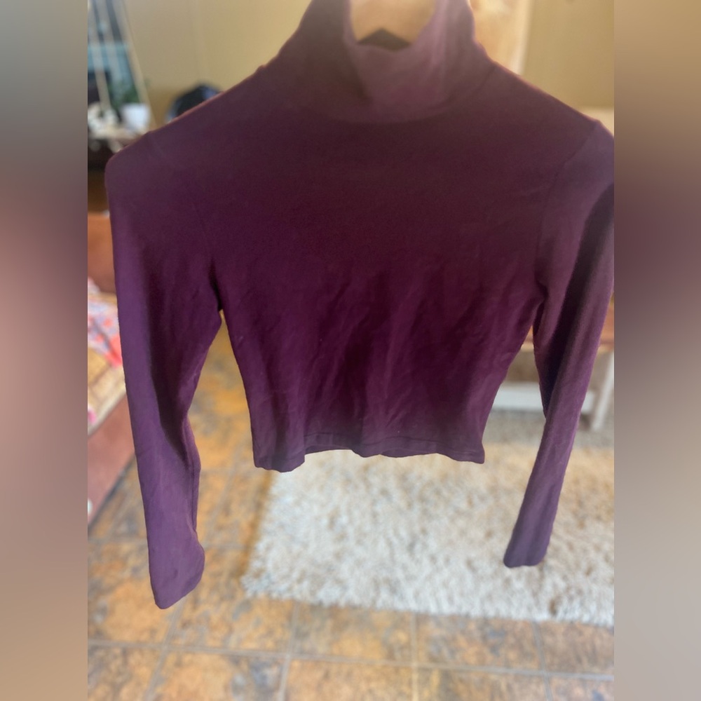 Wine colored Turtle Neck Crop Top